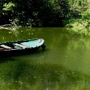 FGM 009 Bartmann Horst